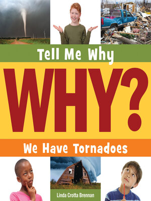cover image of We Have Tornadoes